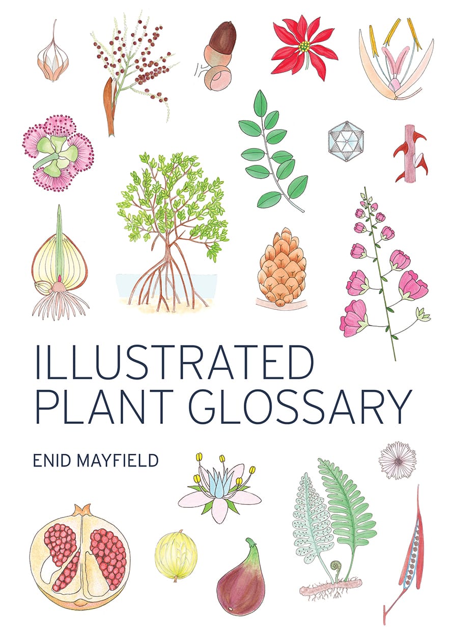 Glossy treasure trove for the word-curious plantsperson