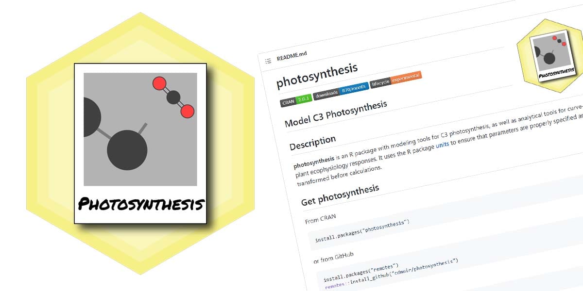 Principles of resilient coding for plant ecophysiologists