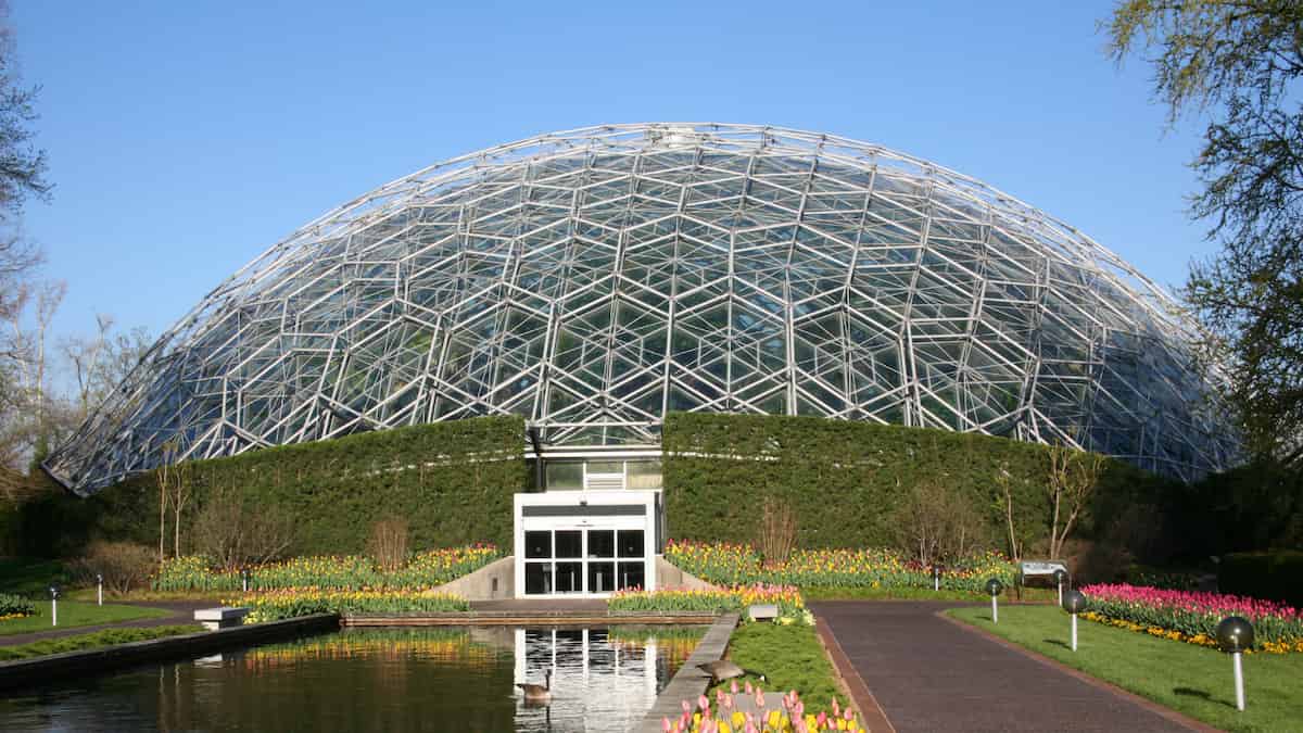 Botanists develop a model for times when a plant thriving in a garden is a matter of life and death