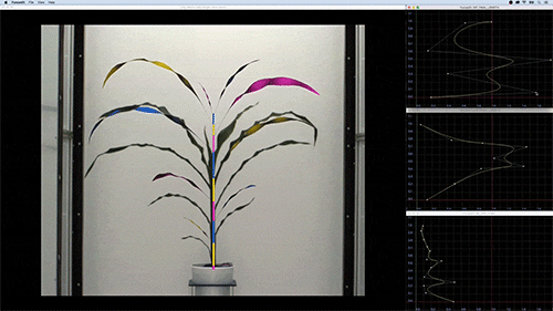 Calibration of a maize model.
