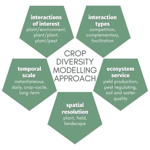 5 objectives to consider when choosing an approach to model diversified agriculture.
1.	interaction types: competition, complementary, facilitation
2.	interactions of interest:  plant/environment, plant/plant, plant/pest
3.	spatial resolution: plant, field, landscape
4.	temporal scale: instantaneous, daily, crop-cycle, long-term
5.	ecosystem service: yield production, pest regulating, soil and water quality