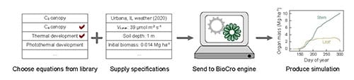 A schematic diagram illustrating the process of running a crop growth simulation. First the user chooses equations from the library. Four example equations are listed in a table: C3 canopy, C4 canopy, thermal development, and photothermal development. Check marks are next to the C4 canopy and thermal development equations. Next, the user needs to supply specifications. Four example specifications are listed in a table: weather, Vc Max, soil depth, and initial biomass with their values and units. Next, an arrow from these two tables leads to an image of a computer with a BioCro inside it. This image is labeled “send to BioCro engine,” where the model is solved and results are calculated. Finally, an arrow from the computer leads to a graph representing the simulation that is produced. Day of year is on the X axis and organ mass is on the Y axis with data for stem and leaf plotted separately.
