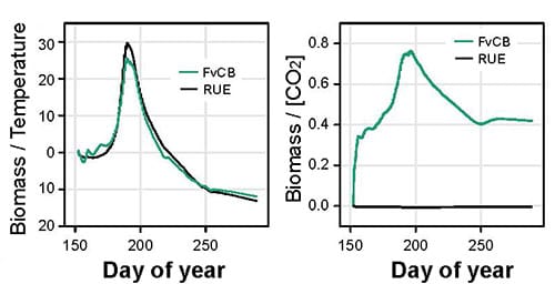 On the left is a graph with day of year on the X axis and biomass / temperature on the Y axis. The FvCB and RUE data is similar throughout the growing season. On the right is a graph with day of year on the X axis and biomass / CO2 on the Y axis. The FvCB data shows a response to CO2 over the course of the growing season, but the RUE data does not.