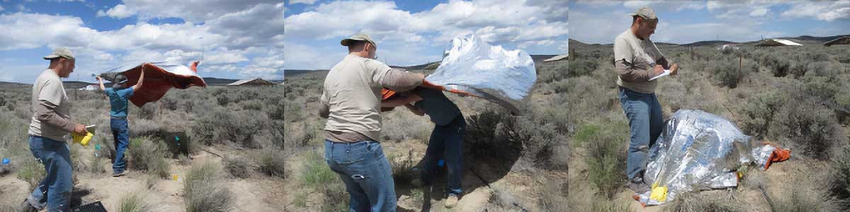 Photochemical performance of bunchgrass reproductive structures