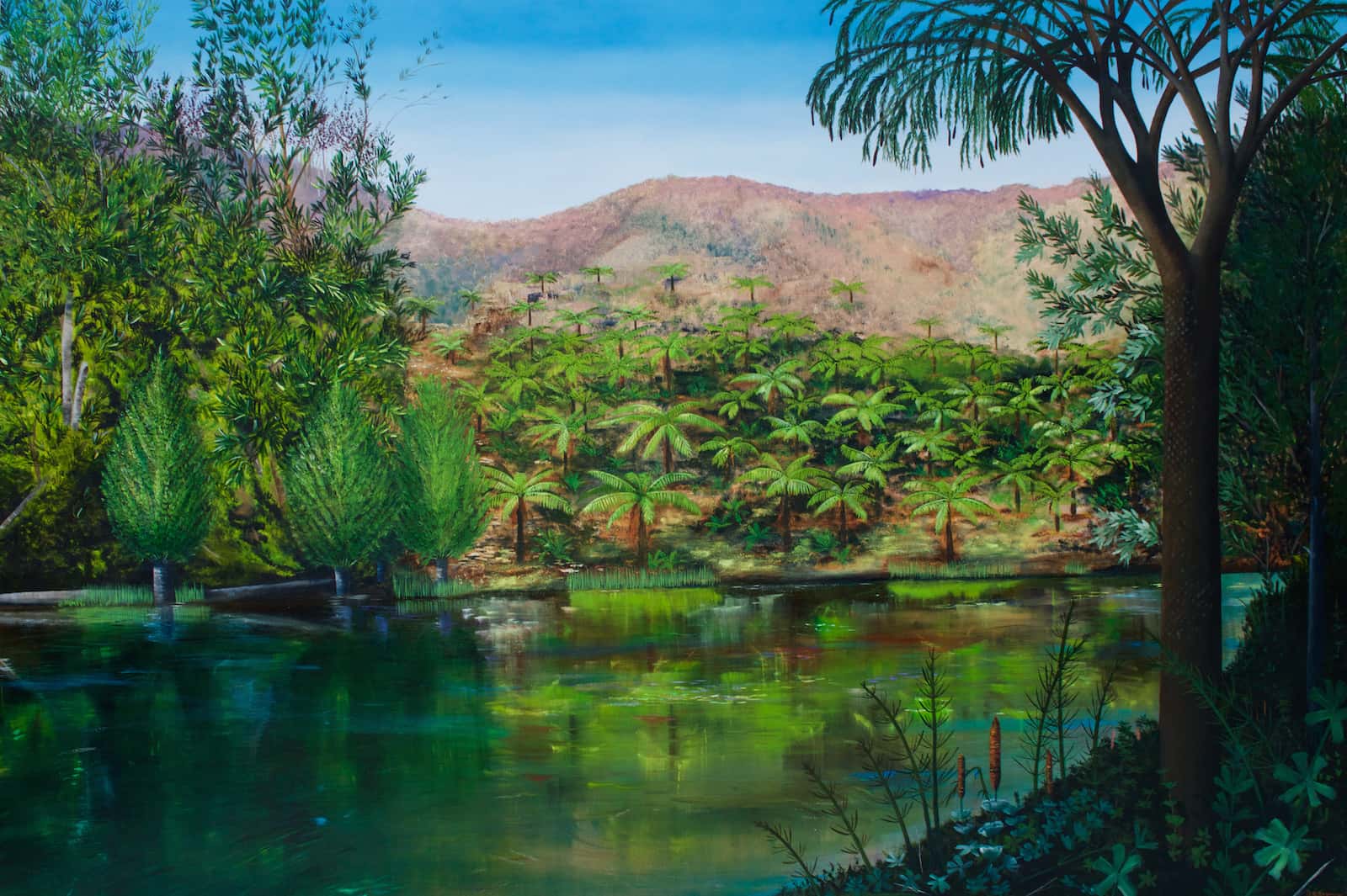 A view from the shade of some trees over a lake. On the other side appear to be some palms, but on closer inspection, they're ferns.
