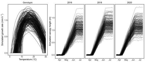 First panel: Temperature measurements from 0 to 30 degrees Celsius on the x-axis and simulated stem elongation rate on the y-axis. Curves simulated for 200 genotypes using the Wang-Engel dose-response function show minimum, optimal and maximum temperatures. 
Second, third and fourth panel: Growth season on the x-axis and simulated canopy height on the y-axis. Canopy height for 200 genotypes show characteristic starts, stops, and lag phases.