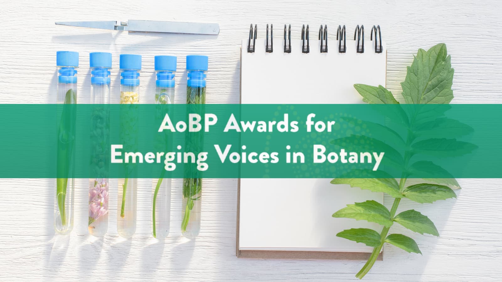 The AoBP Awards for Emerging Voices in Botany