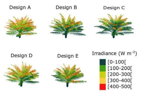 5 palm trees, each representing a different planting design all show different plant architecture. Differences in light interception is evident in the false-color mapping among the trees. A legend for irradiance ranges from 0 to 500 Watts per meter squared. 