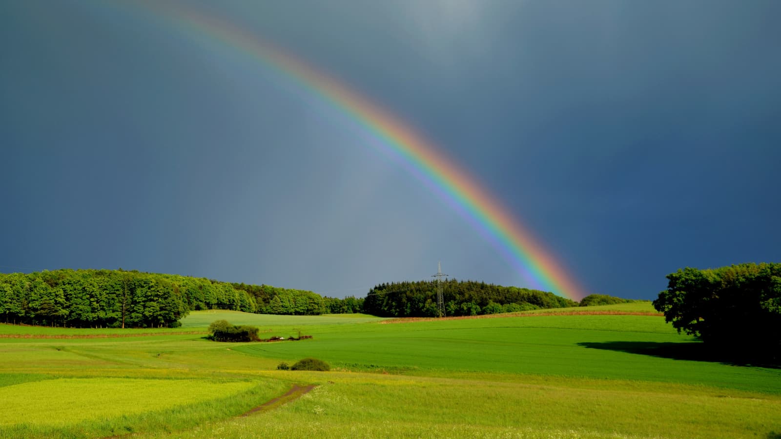 Low rolling hills of green grass with woods on the horizon. Above is a dark cloudy sky cut by the arc of a rainbow.