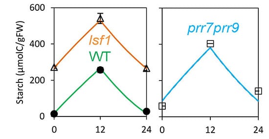Two graphs with time of day on the X axis and starch on the Y axis. Both measured data and simulation data are shown. On the left figure, wildtype values are lower than lsf1 values. On the right graphs, prr7prr9 values are shown. They fall between lsf1 and wild type values. For both graphs, simulation data matches measured data with starch levels peaking around noon.