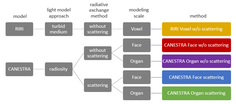 A flow chart with five approaches ending in five models. The first level is model. There are two models, RIRI and CANESTRA. From the RIRI model, the light model approach is turbid medium. The radiative exchange method is without scattering. The modeling scale is Voxel. The method is therefore called “RIRI Voxel without scattering.” From the CANESTRA Model, the light model approach is radiosity. There are two radiative exchange methods, with and without scattering. From without scattering, the scale is FACE or Organ. The method from FACE is called “CANESTRA Face without scattering” and the method from ORGAN is called “CANESTRA Organ without scattering.” From with scattering, the scale is FACE or Organ. The method from FACE is called “CANESTRA Face with scattering” and the method from ORGAN is called “CANESTRA Organ with scattering.”