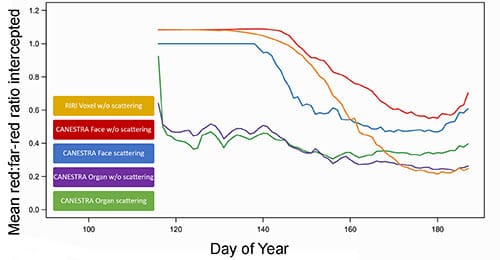 A graph with Day of year from 100 to 180 on the x-axis and Mean red:far-red ratio intercepted from 0 to 1.2 on the y axis. Values from RIRI and CANESTRA Face with and without scattering are plateaued around a mean value of 1 from days 120 to 140, and then decline. CANESTRA Organ with and without scattering mean values fall soon after day 12 and remain low until day 180.