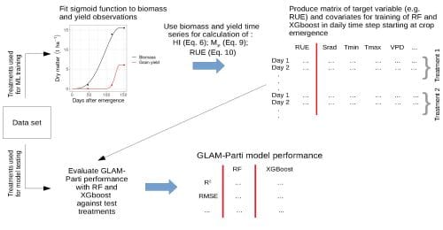 A flow chart showing the methodology for integration of ML into GLAM-Parti. The data set is split into training and testing treatments. Crop data from the training treatments are used for fitting time-series of biomass and yield, which then derive the target variables RUE and dHI/dt for training of Random Forests (RF) and XGBoost. The test treatments are used in the evaluation of GLAM-Parti with RF and XGBoost respectively.