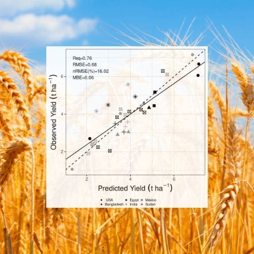 Improving crop modeling using machine learning
