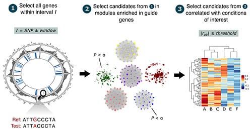 New open source software for identifying candidate genes