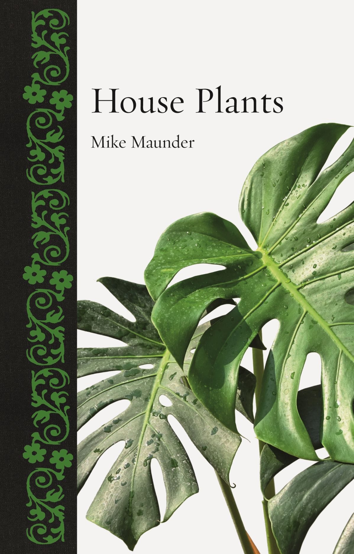 House plants – the exotic within the home