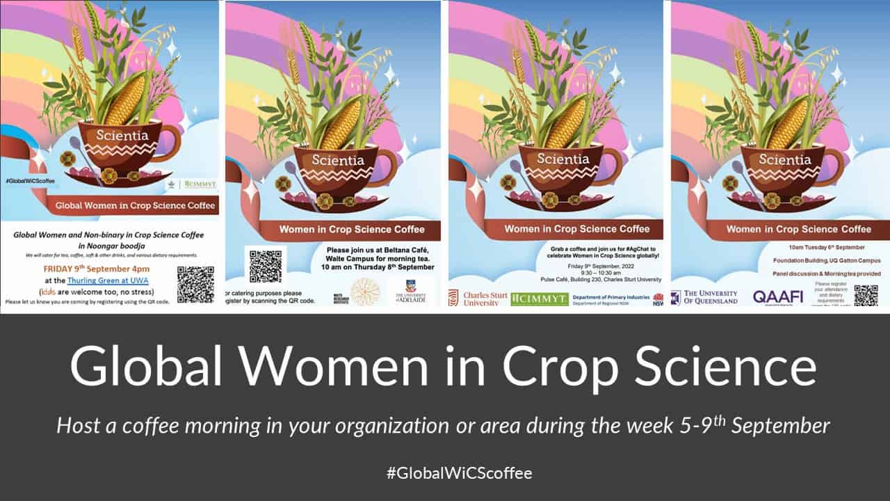Four posters for Women in Crop Science coffee mornings. A pastel rainbow shines into a brown coffee cup. In the cup is an ear of maize, some wheat, barley, rice and other crops.