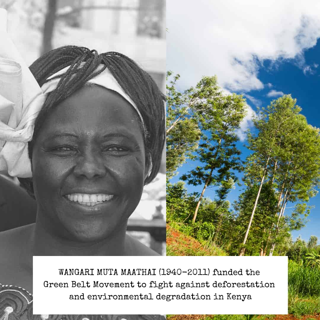 Left, a black and white photo of Wangari Muta Maathai. Right, trees in Africa.
Caption: WANGARI MUTA MAATHAI (1940-2011) funded the Green Belt Movement to fight against deforestation and environmental degradation in Kenya.