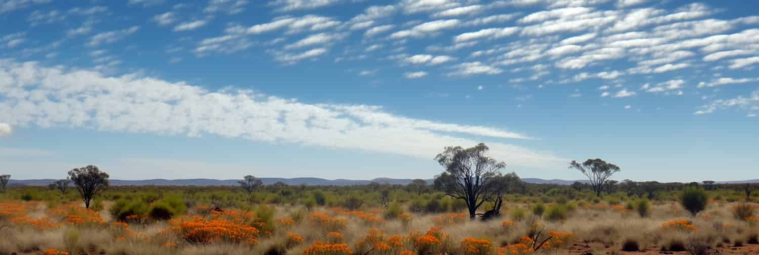 Environmental DNA Technique Sheds New Light on Pollinator Monitoring