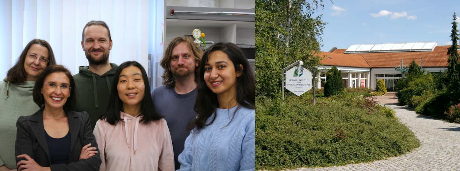 Big European Funding to Boost Research on the Plant Stress Hormone Jasmonate