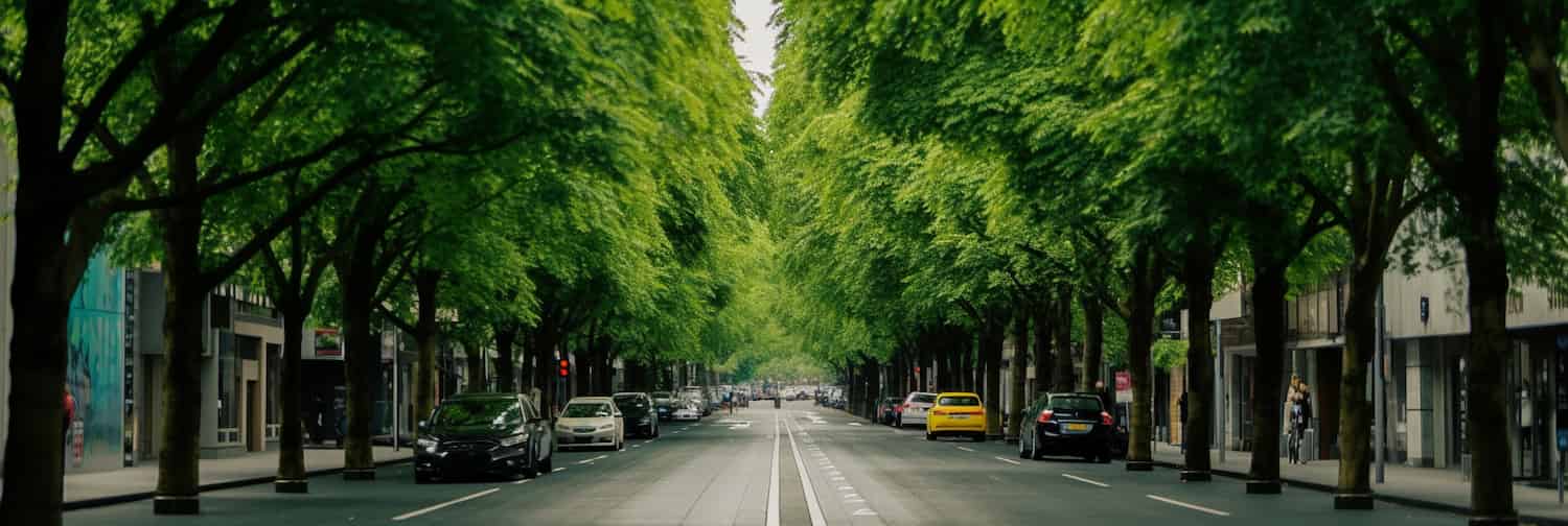 You don’t have to lose pavements to grow trees in cities