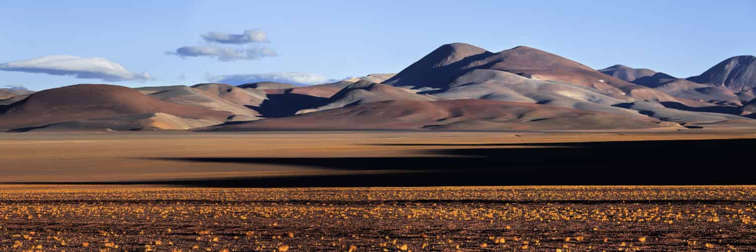 Rewilding the Argentine Puna is a Mixed Result for Biodiversity
