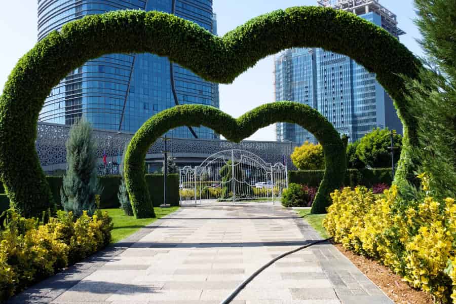 Green arcs of dense vegetation neatly trimmed above a wide path. The arcs dip in the middle, so that they look like the top half of an outline of a Valentine heart.