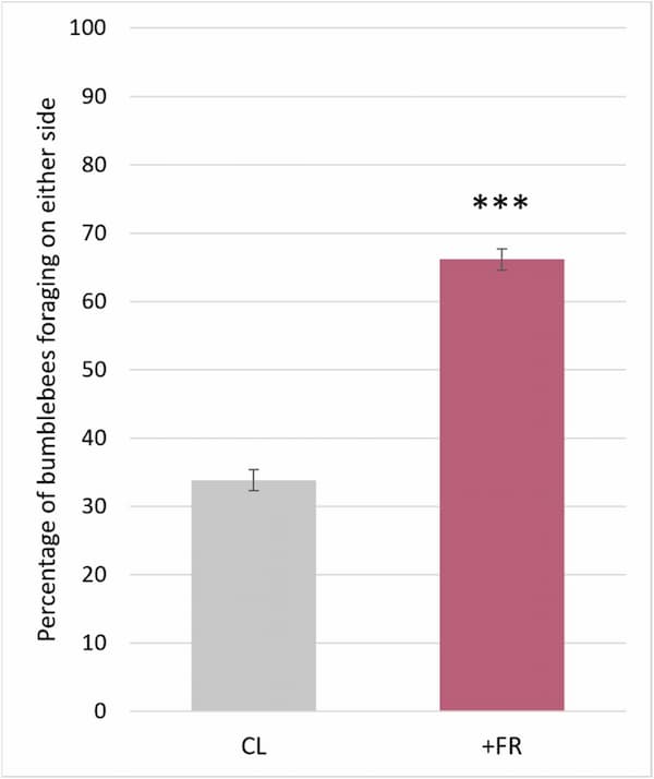 A bar chart with two bars. The bar representing the Control lighting reaches 33%. The bar representing the added Far Red lighting reaches 66%.