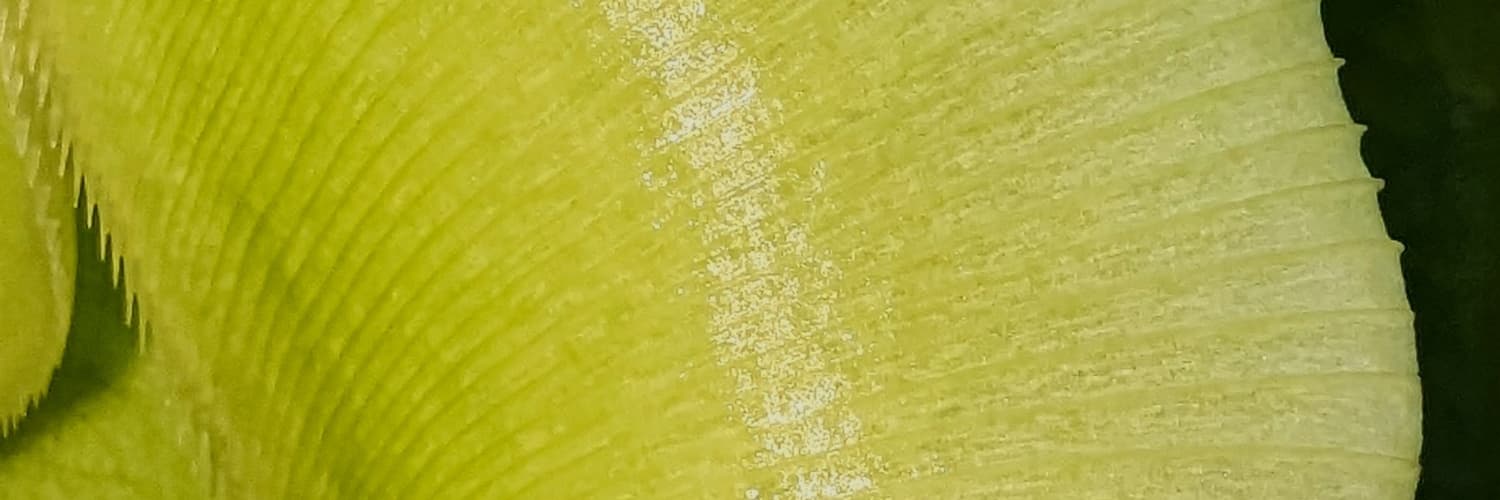 Imaginary Plants Reveal the Physics of Real Killers