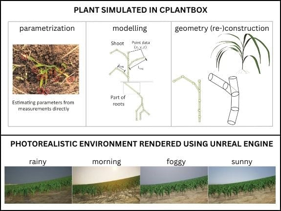 A figure with an explanation of how plants are simulated in CPlantBox at the top. First, model parametrization uses parameters from direct measurements. Then, the model simulates a 2d image of a plant. Last, the plant is reconstructed with geometry to create a 3d image.
At the bottom are examples of photorealistic environments rendered using Unreal Engine. These are images of a field with a rainy, morning, foggy or sunny environment.