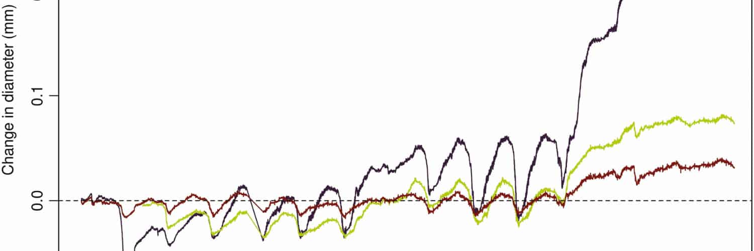 Open-Source Dendrometers for Real-Time Plant Water Monitoring