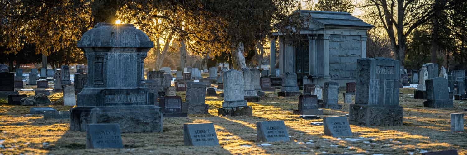 Life in the City Thrives among Death Thanks to the Preservation of Cemeteries