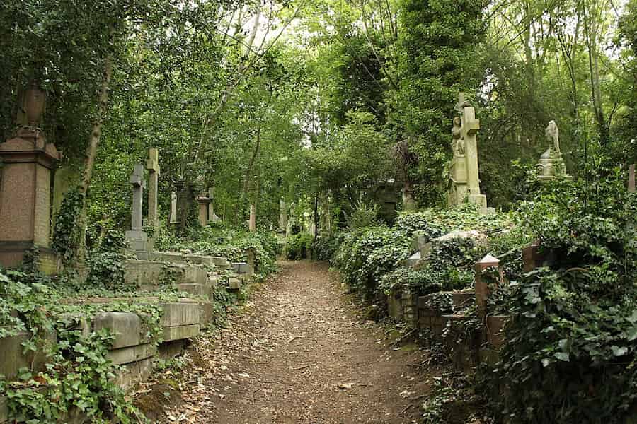 A path leading through Highgate Cemetery East. The stones are overgrown and no one else can be seen.