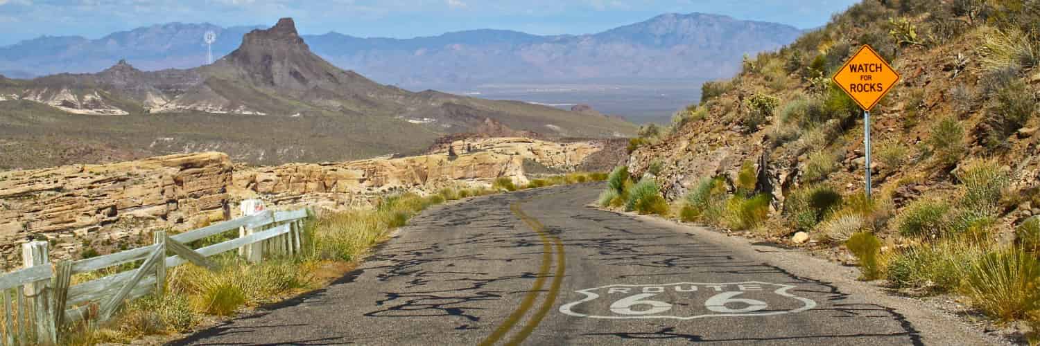 Roads are great for connecting humans, but not so good for plants