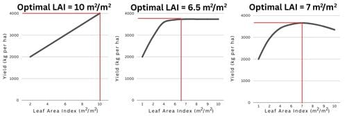 3 graphs illustrate simplified examples of different relationships between leaf area index and yield. The graph on the left is a linear relationship with optimal LAI at 10 meter squared per meter square corresponding with maximum yield at 400 kilograms per hectare. The graph in the center is an asymptotic relationship where yield does not increase above a leaf area index of 6.5. The graph on the right shows a quadratic relationship where yield is maximized at a leaf area index of seven meter squared per meter square, and decreases as leaf area index further increases.