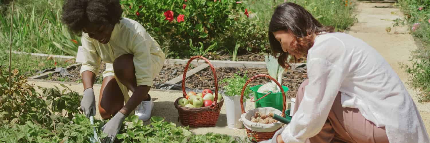 Urban Gardens Could Be The Secret Weapon in Boosting City Biodiversity