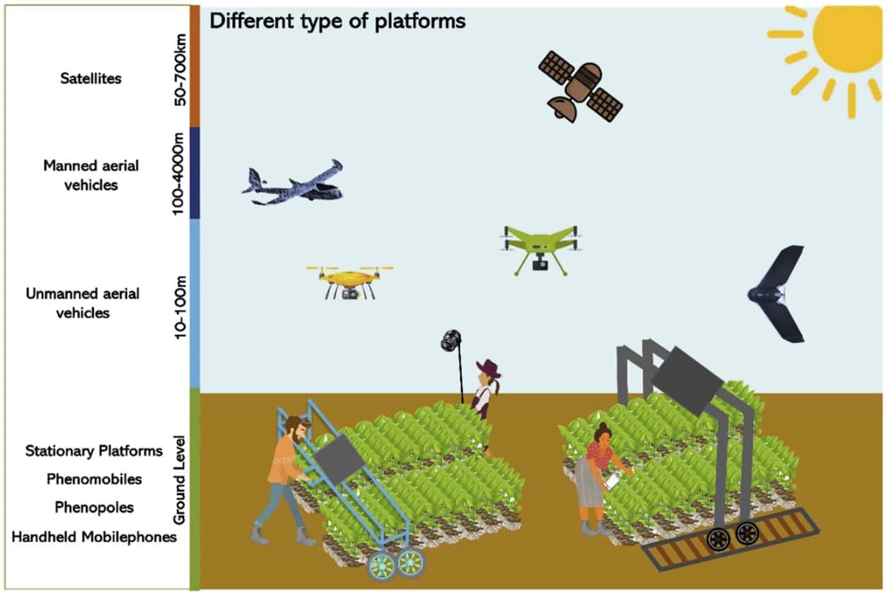 The figure is an image of different types of platforms collecting images from a crop field. At the top is satellites, which operate from 50 to 700 kilometers away from the crop. Next is manned aerial vehicles, such as airplanes, that operate 100 to 4000 meters away. Closer to the crop is unmanned aerial vehicles, such as drones, the operate 10 to 100 meters away. At ground level are stationary platforms, phenomobiles, phenopoles, and handheld mobile phones.