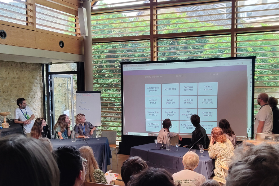 York's team tackle the wall of 4 x 4 species and attempt to work out the connections.