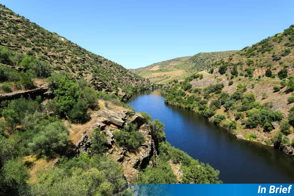 Has a Plan to Fight Wildfires Gone Up in Smoke?