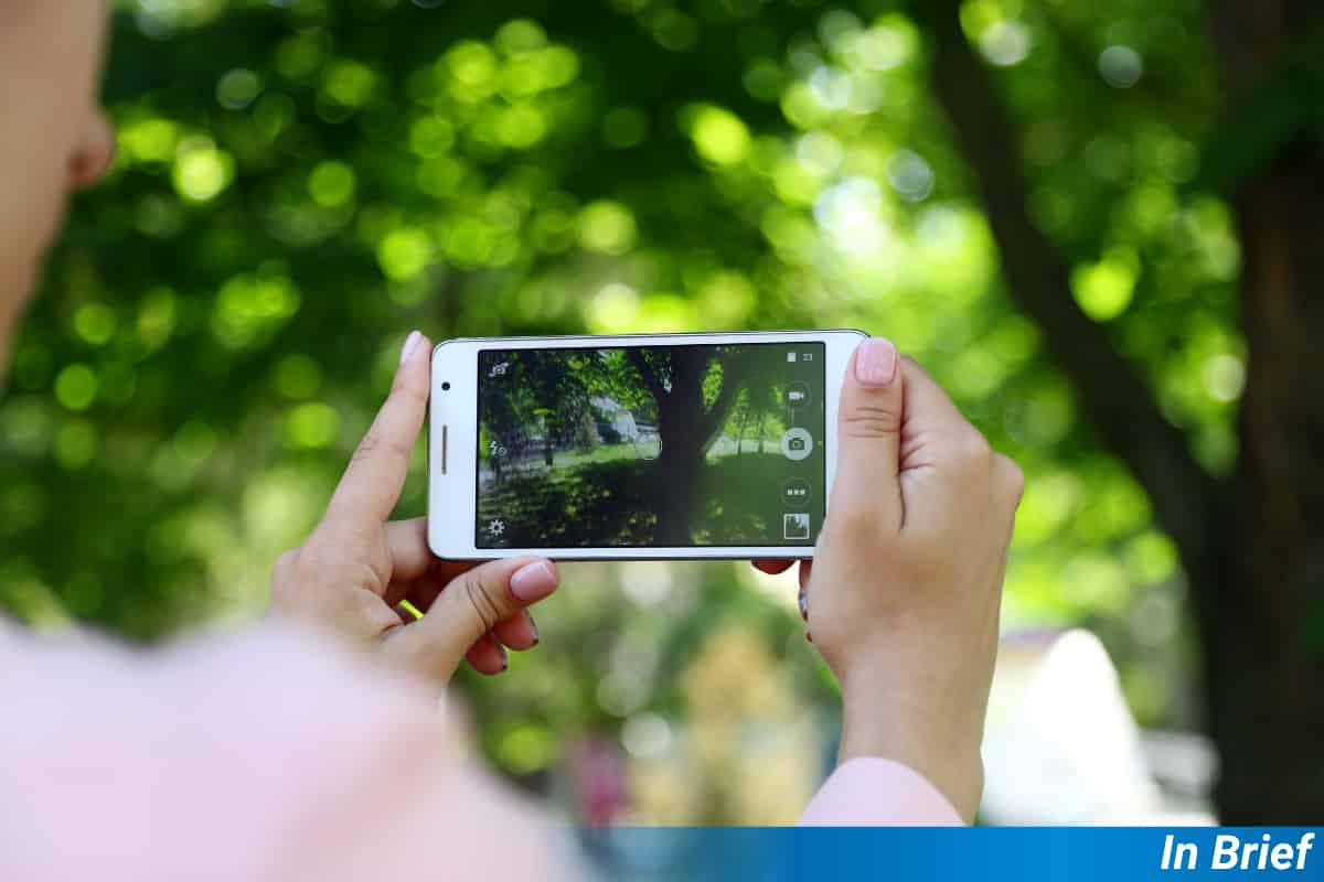 You Don’t Need Green Fingers to Swipe on Gardening Apps