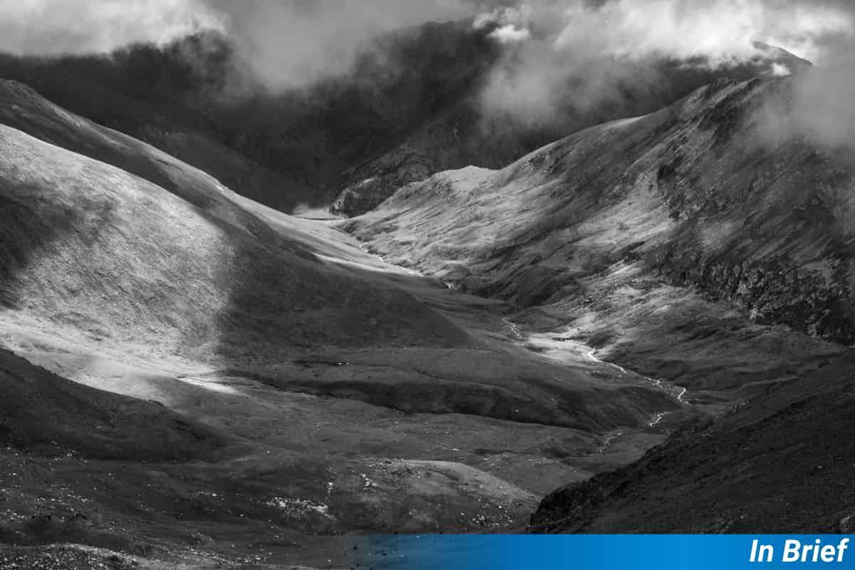 The People Who Never Forgot Their Plants