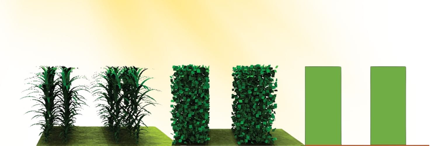 From Complexity to Simplicity: Assessing Light Interception Models