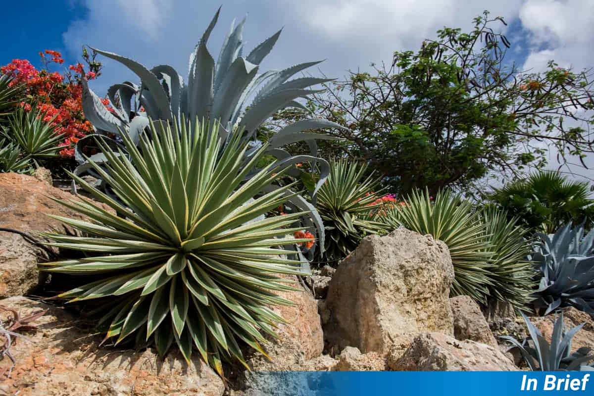 Living Life on the Edge is the Secret to Survival