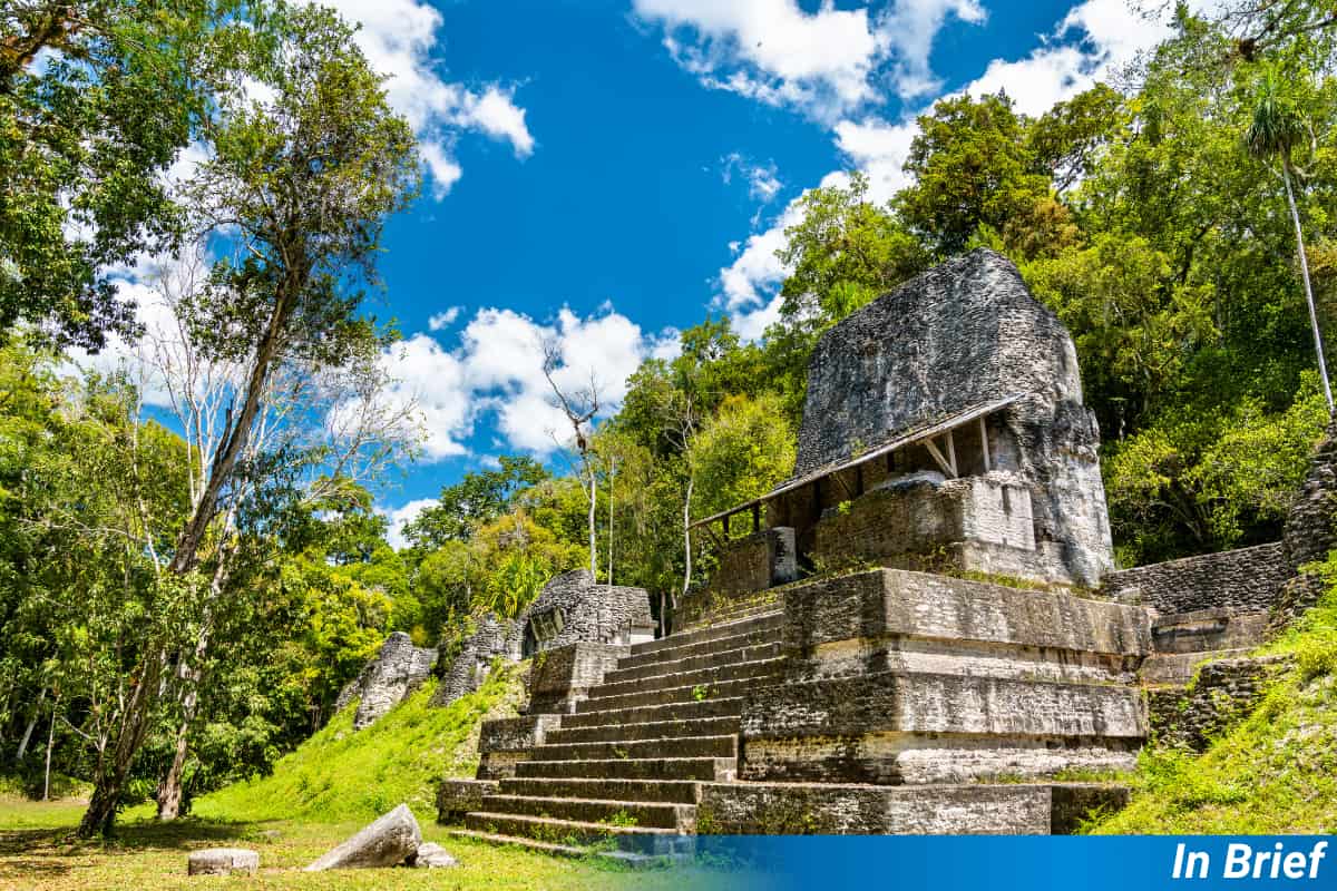 Ancient Maya’s Legacy on Modern Forests