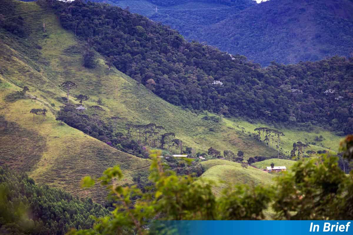 Climate change’s impact on plant phenology may lessen over time