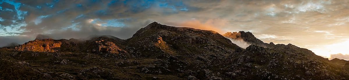 Wind and Wings: Unravelling the Secrets of Ambophily in Tropical Highlands