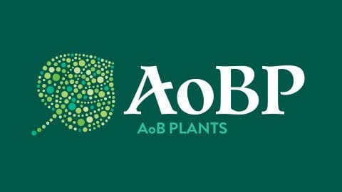 The logo for AoB PLANTS. It's a dark green rectangle, with AoB PLANTS in a lighter green about a third up from the bottom. Above that in striking white are the letters AoBP. Next to the words on the left is a leaf in the style of Australian Aboriginal point art.