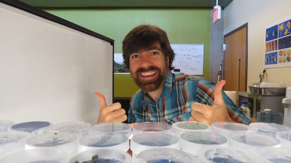 A bearded man looks over the top of many plastic dishes, with his thumbs up.