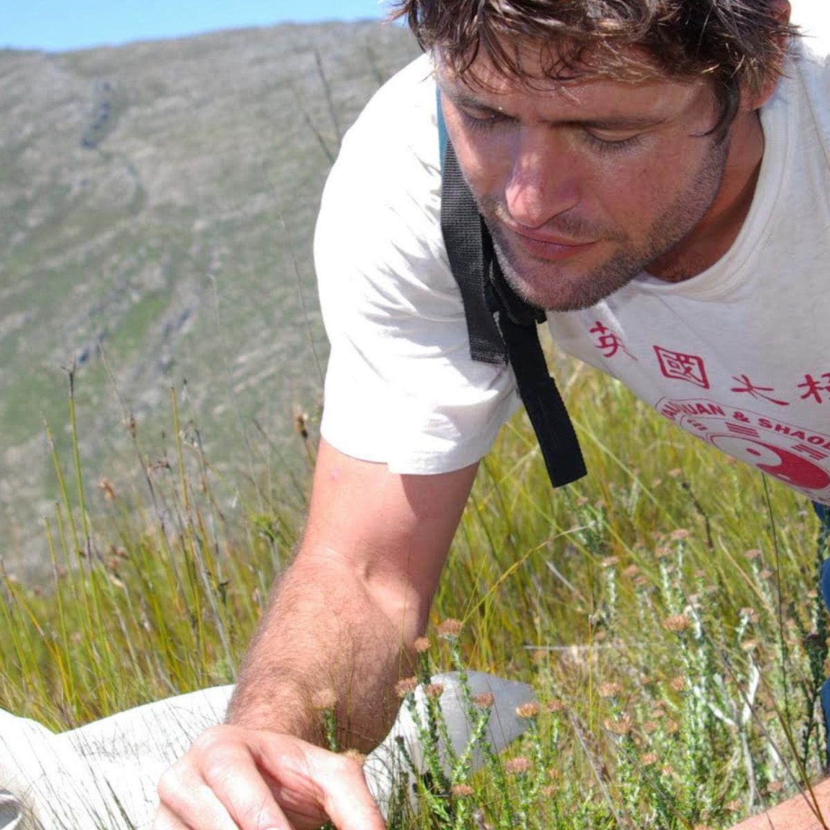 Bruce Anderson: Cracking the Plant Language Code