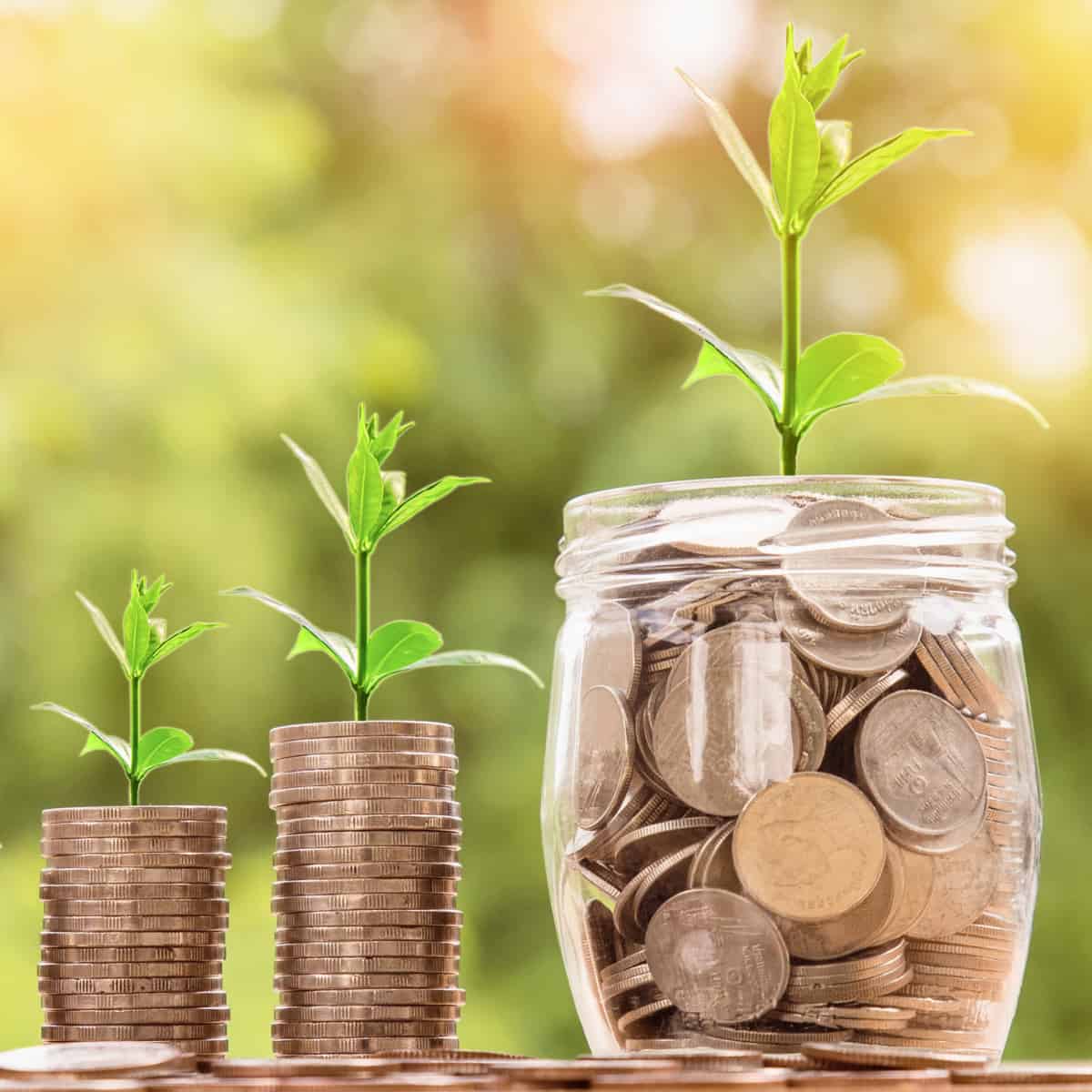 America’s Agricultural Research Gamble